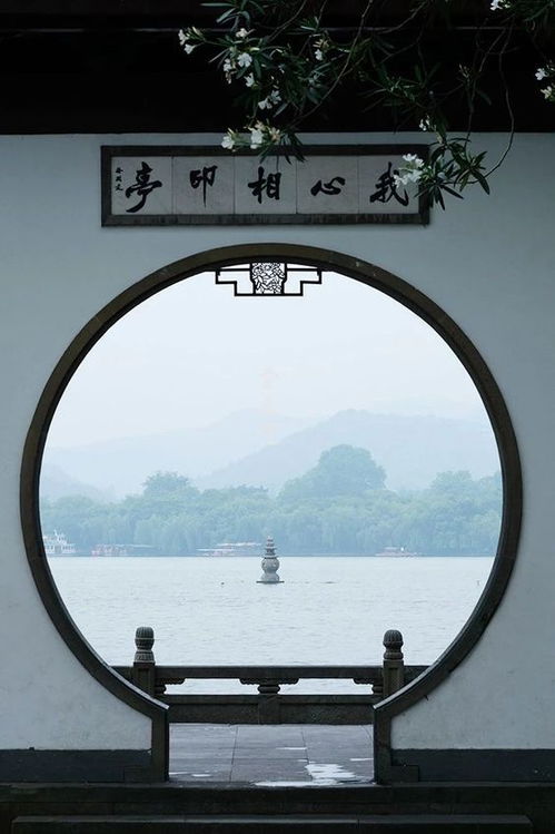 (在城市的喧嚣中拾取一份心灵的宁静)在城市喧嚣中寻找心灵的栖息地——家园何处是我们的归宿